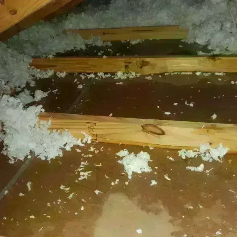 Attic Water Damage in Manito, IL